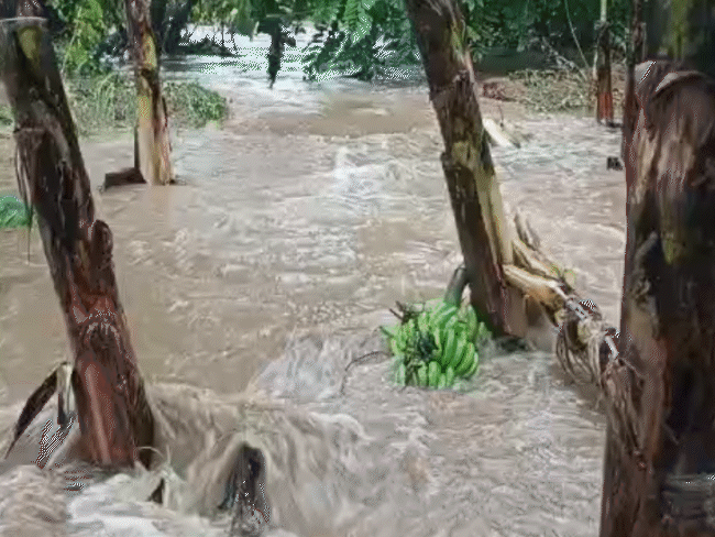 एमपी से मानसून की वापसी शुरू...नीमच, श्योपुर, मुरैना-भिंड से लौटा:इस बार 6 दिन पहले ही विदाई; प्रदेश में अब तक 44 इंच बारिश