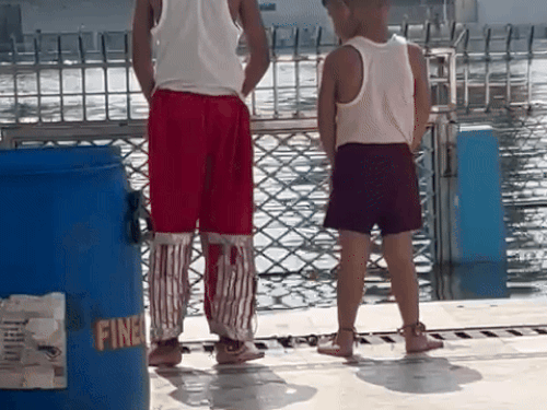 अमृतसर के दुर्ग्याणा मंदिर सरोवर में पेशाब करने का VIDEO:2 बच्चों में से एक के शरीर पर लंगूर की आधी ड्रेस; महंत बोले- सरोवर अपवित्र हो गया