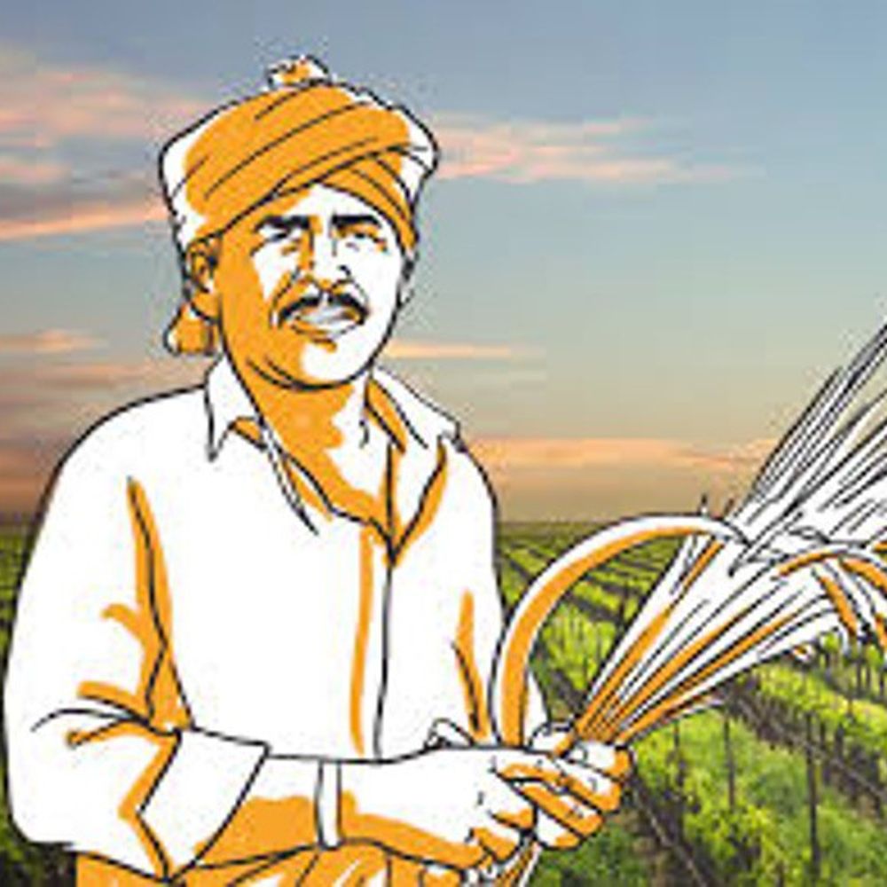 जैविक खेती का अध्ययन कर रहे अमेरिकी कृषि वैज्ञानिक:झुंझुनू में अध्ययन के बाद जयपुर में 27 को करेंगे प्रेस कॉन्फ्रेंस