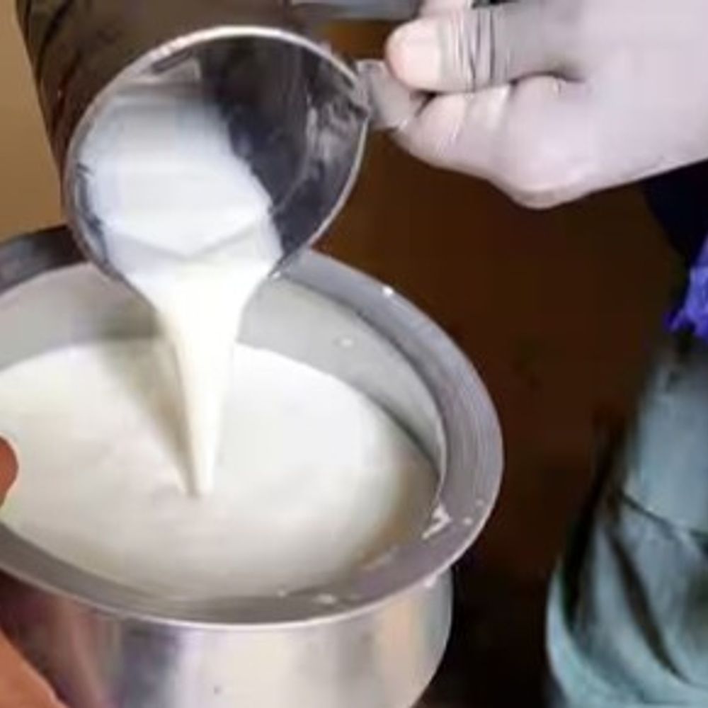 जयपुर डेयरी ने दूध का खरीद मूल्य बढ़ाया:25 रुपए प्रति किलोग्राम की दर से बढ़ोतरी, 4 रुपए का अतिरिक्त बोनस भी मिलेगा; एक अक्टूबर से लागू होगी दरें