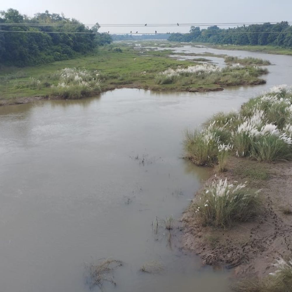 पाकुड़ में सात बालू घाटों की नीलामी:  बंसल मोटर ने 11 करोड़ से अधिक की बोली लगाकर टेंडर जीता – Pakur News