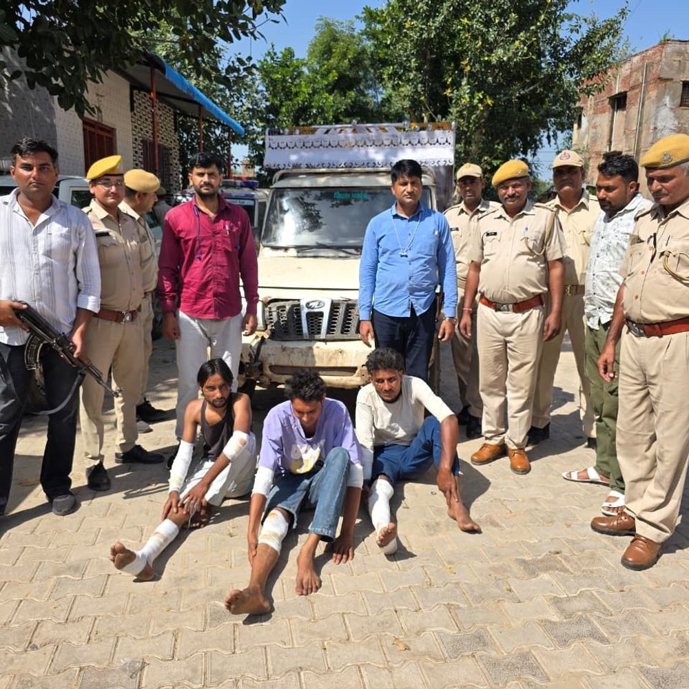 डीग में गौ तस्करी के तीन आरोपी गिरफ्तार, 2 फरार:काशी विश्वनाथ मंदिर के सामने से चोरी की गई गाय-बछड़ा