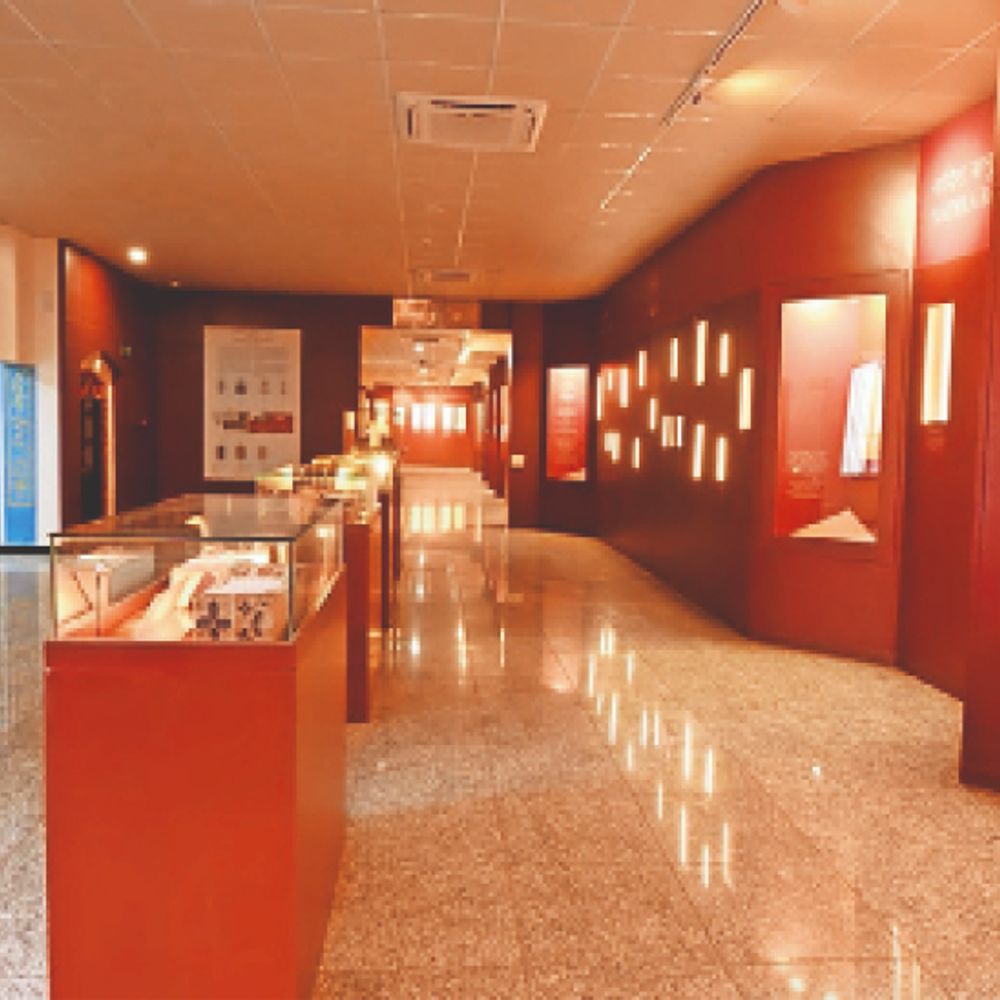 मेवाड़ से दूर हुई धरोहर:प्रताप जैसे शूरवीरों से जुड़े 1 हजार ताम्रपत्र बीकानेर भेजे, वहां म्यूजियम में सजे