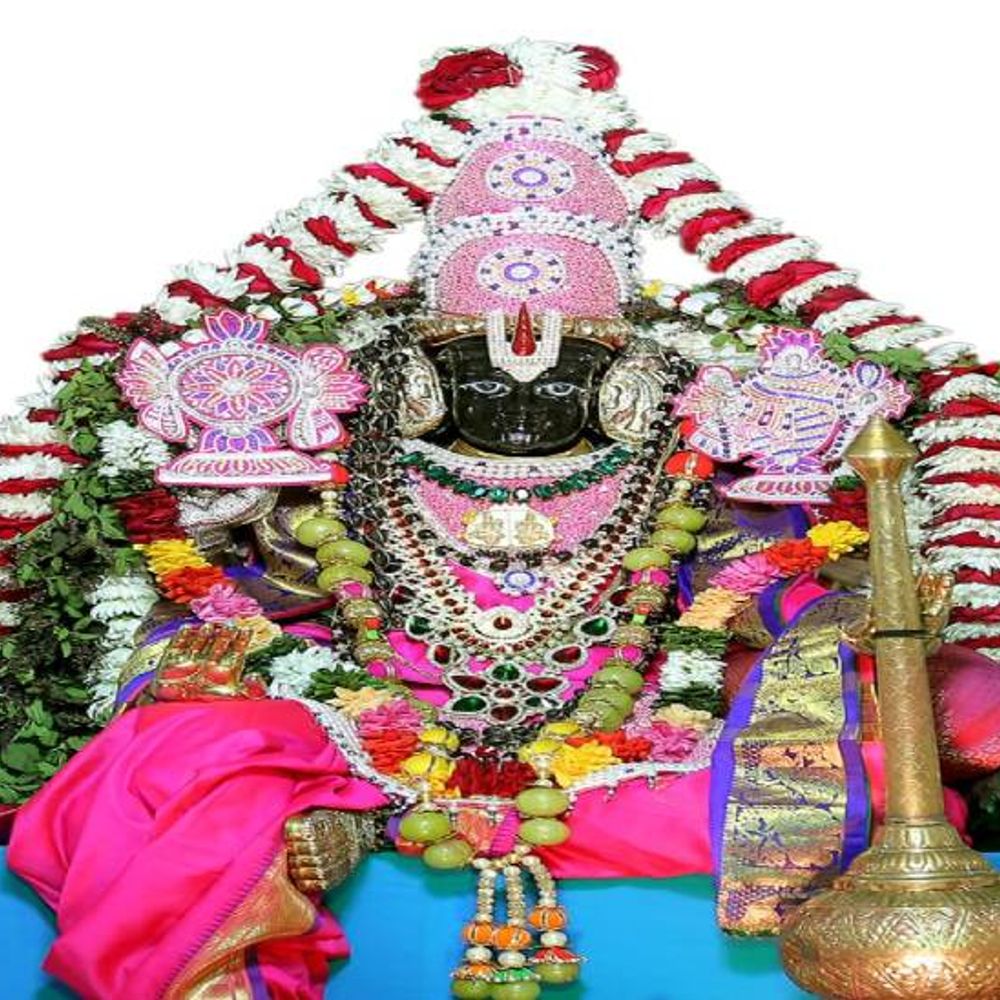 श्रीवेंकटेश जयंती महोत्सव आज:सुबह परिक्रमा तो रात को निकलेगी सवारी, गोविंदा-गोविंदा का जयघोष करेंगे भक्त