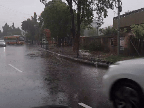 हरियाणा में आज से 3 दिन फिर बारिश:मानसून में अब तक 33% अधिक हो चुकी बरसात; 8 अक्टूबर के बाद गिरेगा तापमान