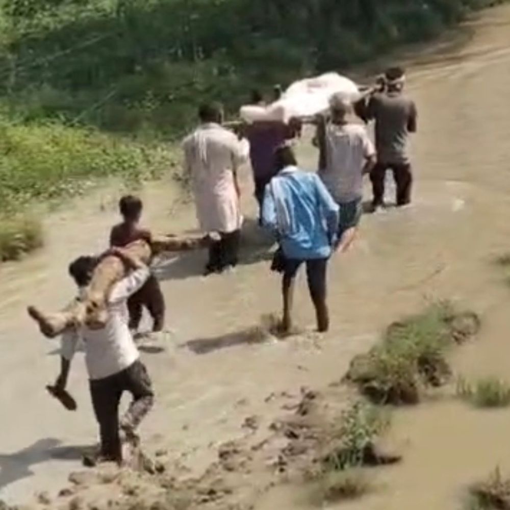हमीरपुर में घुटनों तक दलदल से गुजरी शव यात्रा:वीडियो ने खोली ग्रामीण विकास के दावों की पोल