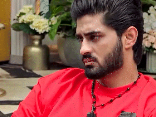 धनश्री और अरबाज की दोस्ती में दरार:भावुक होकर धनश्री बोलीं - मैंने दोस्ती निभाई, अब मैं पीछे हटने का फैसला ले रही हूं