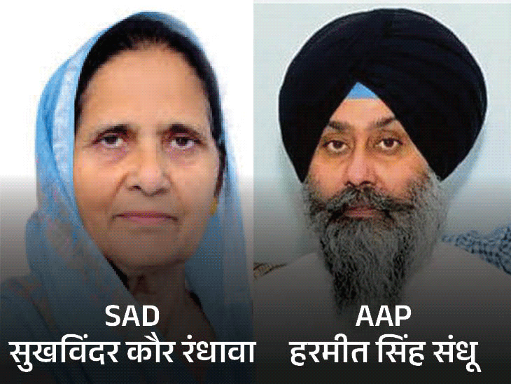 तरनतारन उपचुनाव की घोषणा थोड़ी देर में:बिहार चुनाव के साथ वोटिंग होगी, 4 प्रमुख पार्टियां अपने उम्मीदवार घोषित कर चुकीं