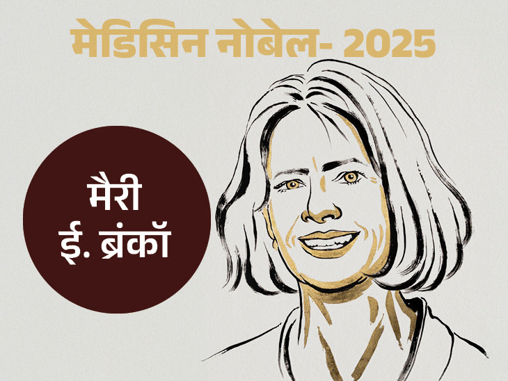 2025 मेडिसिन का नोबेल 3 वैज्ञानिकों को, इनमें 1 महिला:इम्यून सेल के हमले रोकने वाली T-कोशिकाएं खोजीं; कैंसर-डायबिटीज के इलाज में मददगार