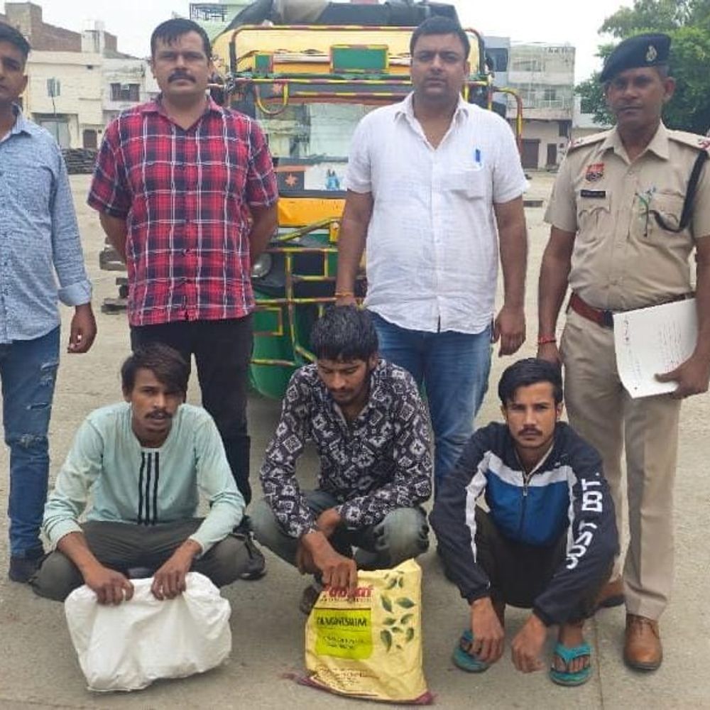 खेतों से ट्यूबवेल की केबल-स्टार्टर चोरी करने वाले पकड़े:  पानीपत पुलिस ने तीन आरोपियों को पकड़ा, पांच वारदातों का खुलासा – Panipat News