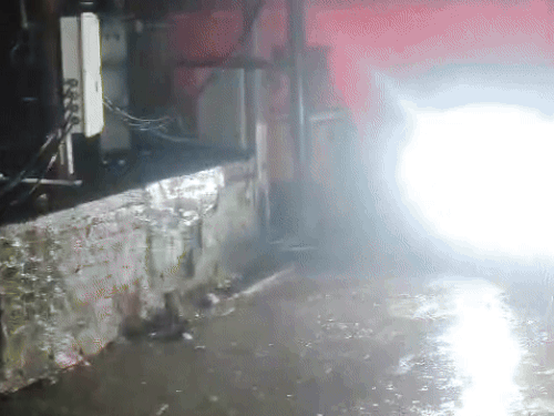 ललितपुर में 30 मिनट की बारिश से सड़कों पर जलभराव:तापमान में गिरावट, खेतों में कटी पड़ी फसलें डूबीं