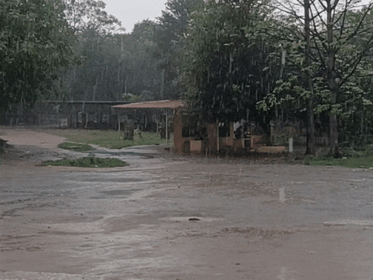 झांसी में 45 मिनट की मूसलाधार बारिश:बाद में निकला सूरज तो बढ़ गई उमस और गर्मी, बेहाल हो गया लोग