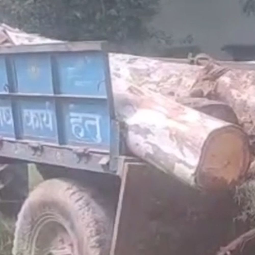अंबेडकरनगर में अवैध लकड़ी जब्त:सहकारी समिति परिसर से पेड़ काटे, ट्रैक्टर पर लादकर ले जा रहे थे