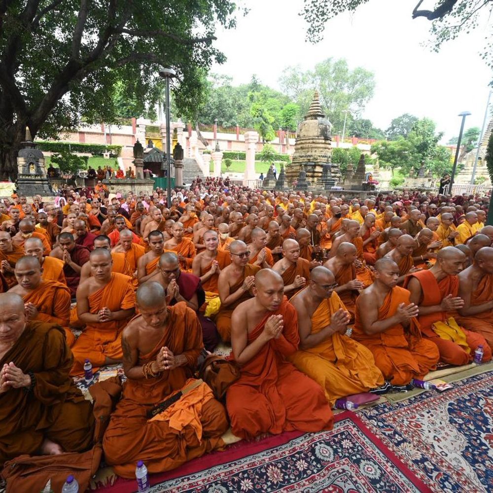 महाबोधि महाविहार में अंतर्राष्ट्रीय सिवरा दान समारोह:पवित्र बोधि वृक्ष के नीचे 1250 भिक्षुओं-भिक्षुणियों ने की प्रार्थना; शांति, सद्भाव की कामना की