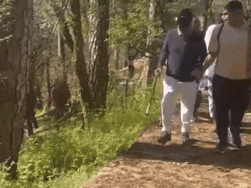 75 की उम्र में डेढ़ किलोमीटर पैदल चले रजनीकांत:महावतार बाबा की गुफा में किया ध्यान, 6 दिनों की आध्यात्मिक यात्रा कर लौटे