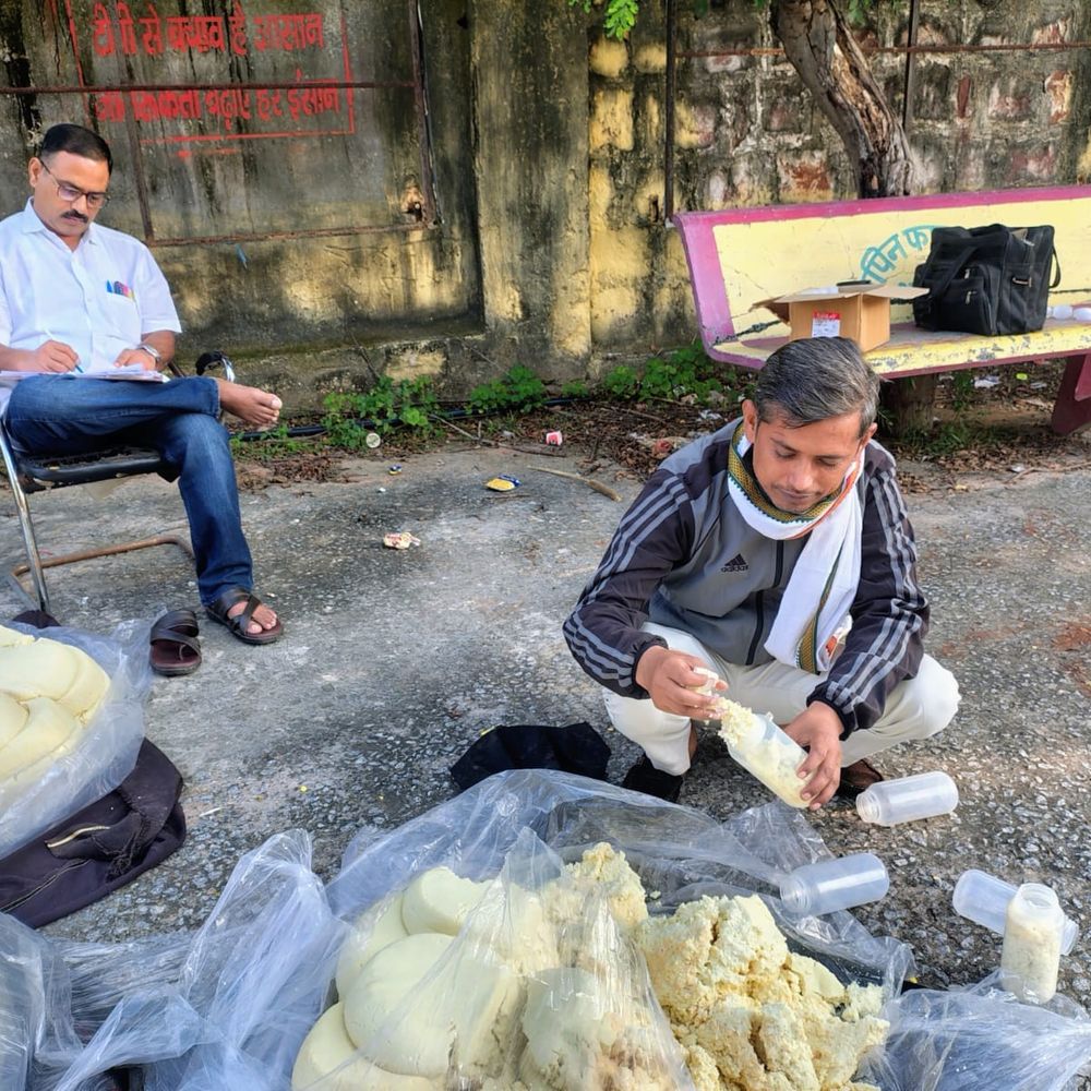 धौलपुर में 250 किलो दूषित मावा नष्ट:घी के नमूने लिए, खाद्य सुरक्षा दल की छापामार कार्रवाई