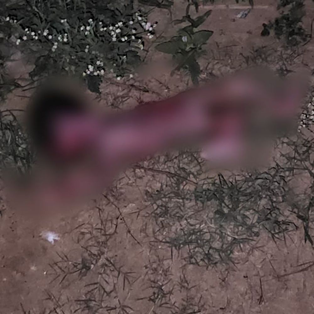 बांका में गीदड़ के मुंह से मिला नवजात का शव:लोगों के शोर मचाने पर झाड़ियों की ओर भागा, नहीं हो सकी पहचान
