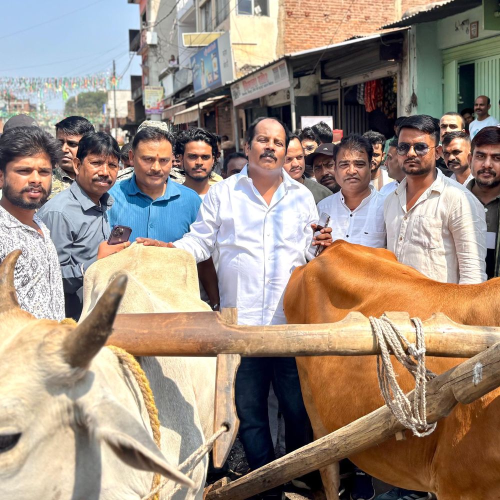 हजारीबाग में विधायक प्रदीप प्रसाद हल-बैल लेकर सड़क पर उतरे:  जर्जर सड़कों पर नगर निगम के खिलाफ प्रदर्शन, बड़े पैमाने पर जन आंदोलन की चेतावनी – Hazaribagh News