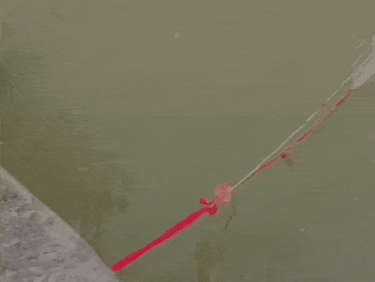 रील्स बनाने के चक्कर में नदी में बहा नाबालिग:शहडोल में देखते रहे दोस्त, 36 घंटे बाद भी लापता; सर्चिंग जारी