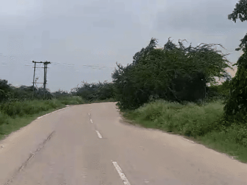 झज्जर में लड़का – लड़की की मौत:  बाइक की आमने सामने टक्कर, एक ही गांव के हैं मृतक – Jhajjar News