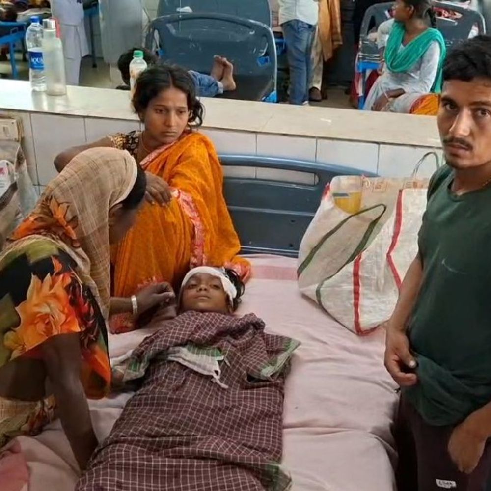 धनबाद में आवारा कुत्तों का आतंक:  सात वर्षीय बच्ची पर किया हमला, गंभीर रूप से घायल; रिम्स रेफर – Dhanbad News