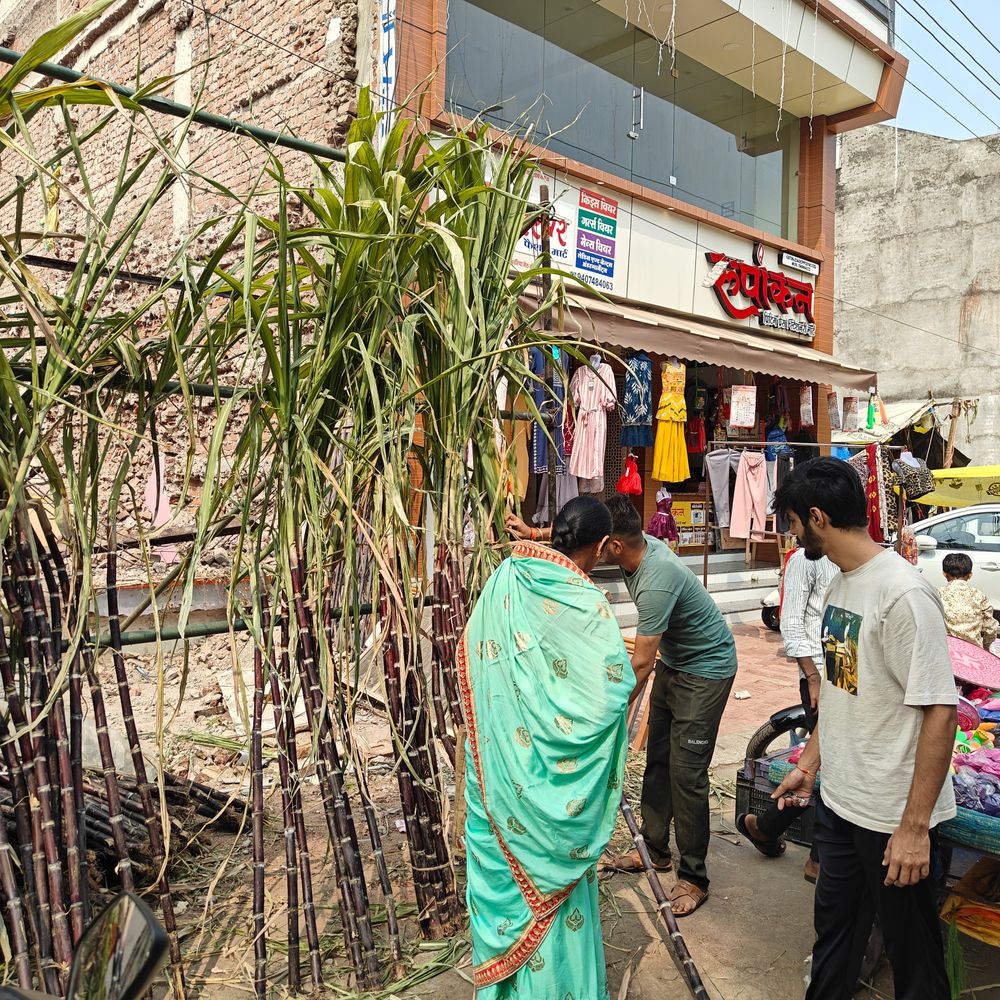 दीपावली पर झाबुआ में गन्ने की बंपर बिक्री:लक्ष्मी पूजन के लिए घरों में बढ़ रही है मांग; 100 से ज्यादा दुकानें सजीं