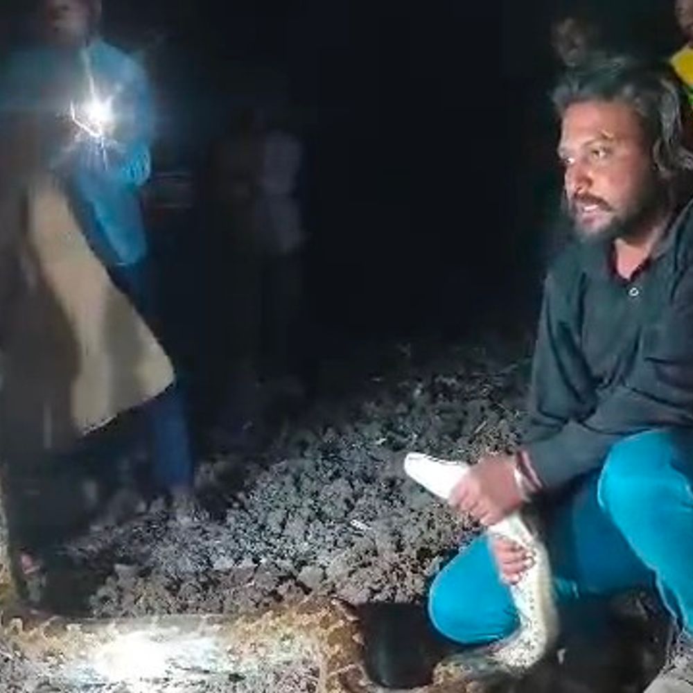 नीमच के दतौली गांव में अजगर का रेस्क्यू:14 फीट लंबा और 90 किलो वजनी अजगर जंगल में छोड़ा