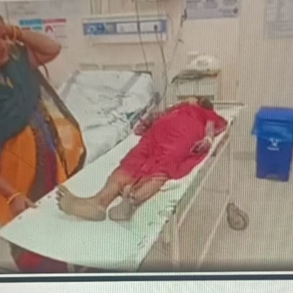 राजनगर में सांप के काटने से महिला की मौत:सोनवाड़ी गांव में घर की सफाई के दौरान काटा