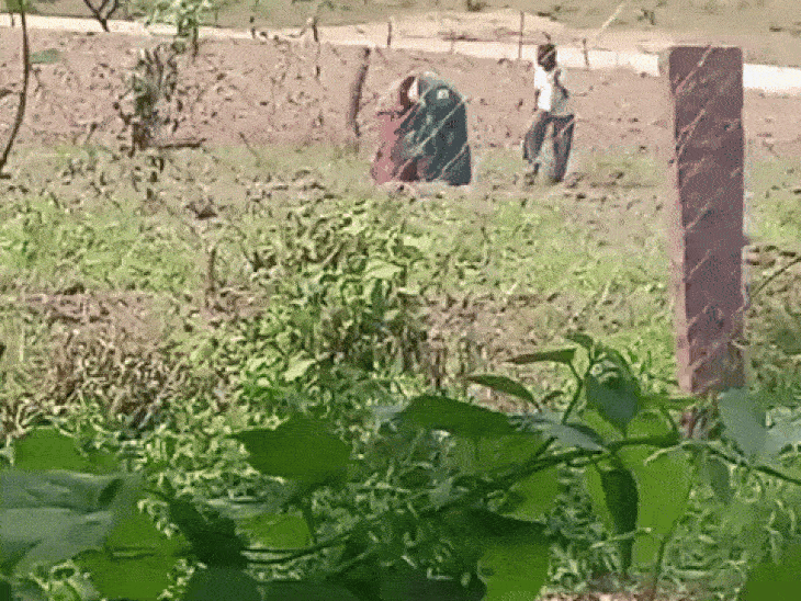 पन्ना में महिला को पीटा, हाथ काटा; VIDEO:जेठ-जेठानी और बेटी ने लाठी-डंडों से मारा; घर पर पहुंचकर की तोड़फोड़