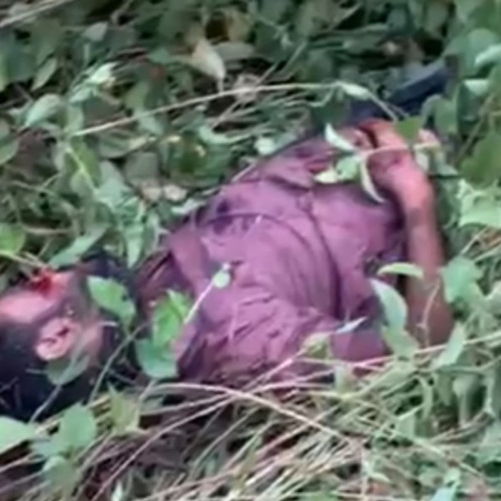 बिलासपुर में NH पर झाड़ियों में मिली युवक की लाश:30 मीटर दूर पड़ी थी बाइक, हादसे से मौत की आशंका;नहीं हो पाई है पहचान