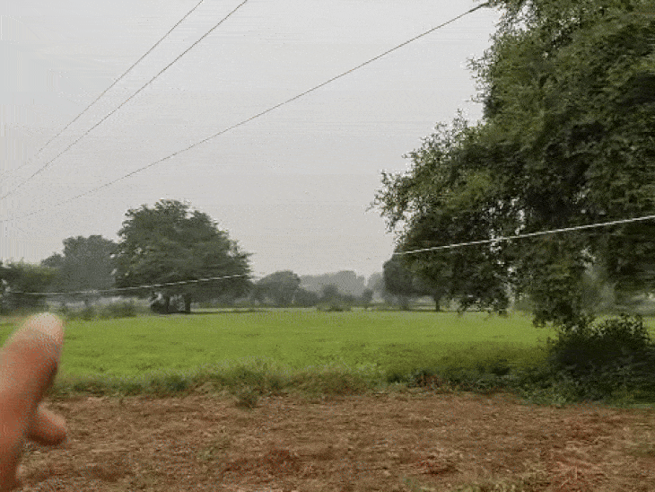 खेतों में 5 फीट ऊपर 11 हजार वोल्ट का करंट:छतरपुर में ग्रामीणों ने कई बार की शिकायत, बिजली विभाग नहीं ले रहा सुध, करंट से 5 पांच गायों की हुई थी मौत