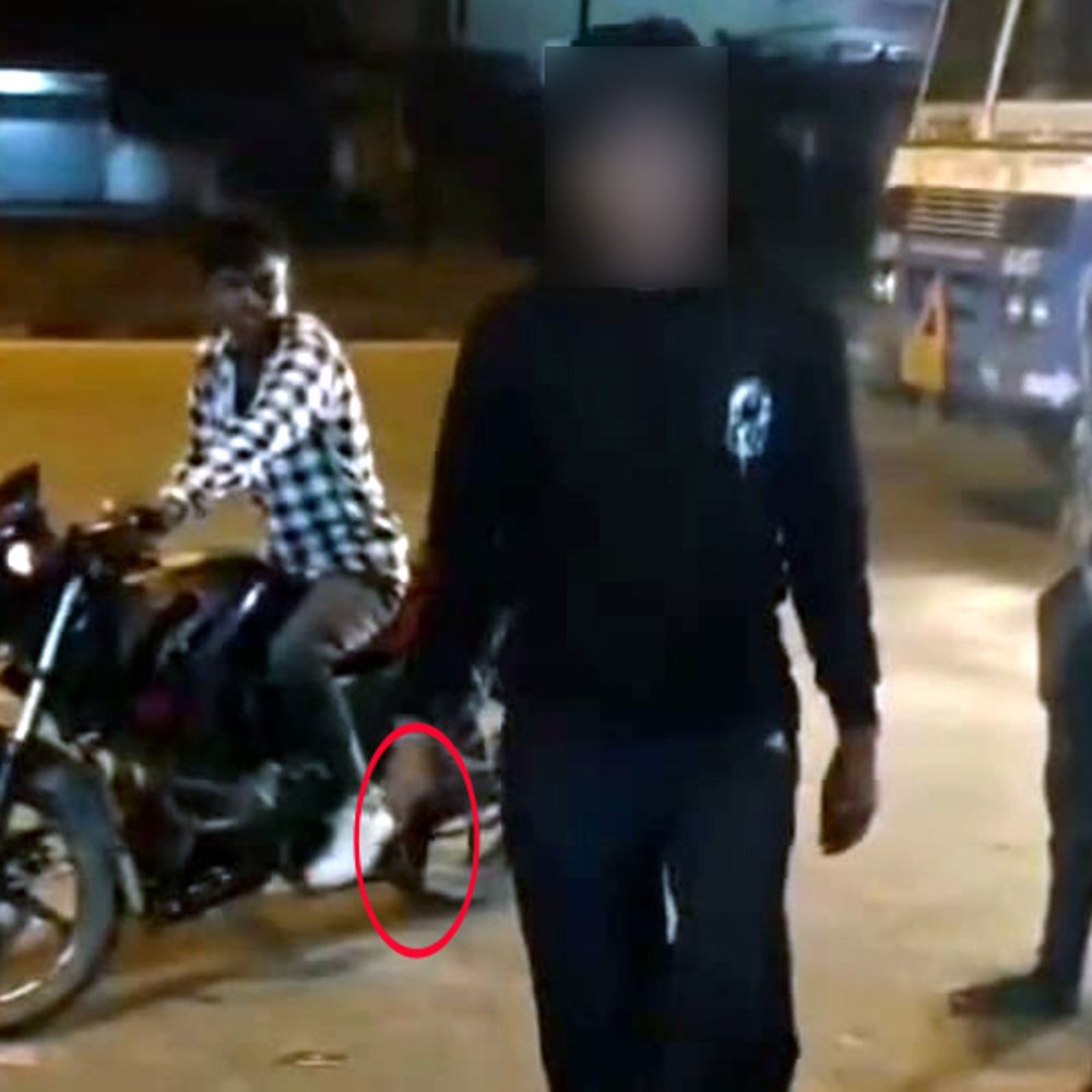 डुमरी टोल प्लाजा पर नाबालिग ने पिस्टल लहराया:  आपसी विवाद में गोली चलाई, पुलिस ने हिरासत में लिया; एक जिंदा कारतूस बरामद – Giridih News