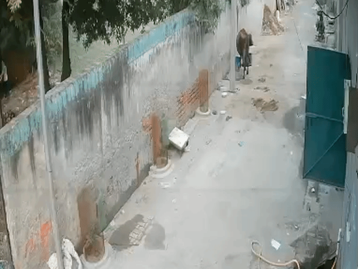 उन्नाव में बच्चा छत से गिरा, CCTV में कैद:9 माह के मासूम की हालत गंभीर, कानपुर रेफर