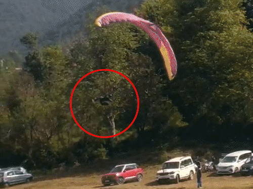 हिमाचल में पैराग्लाइडिंग करते वक्त पायलट गिरा:हवा में पैराग्लाइडर का संतुलन बिगड़ने से हादसा; 7 देशों के 59 पायलट ले रहे भाग