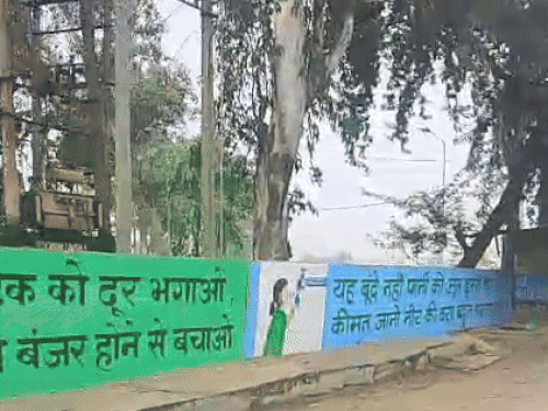 झज्जर शहर की दीवारों पर पेंटिंग से बढ़ रही सुंदरत:  छोटी दीवारों पर सामाजिक संदेश, फ्लाई ओवर दीवारों पर खिलाडि़यों व महापुरूषों की होंगी फोटो – Jhajjar News