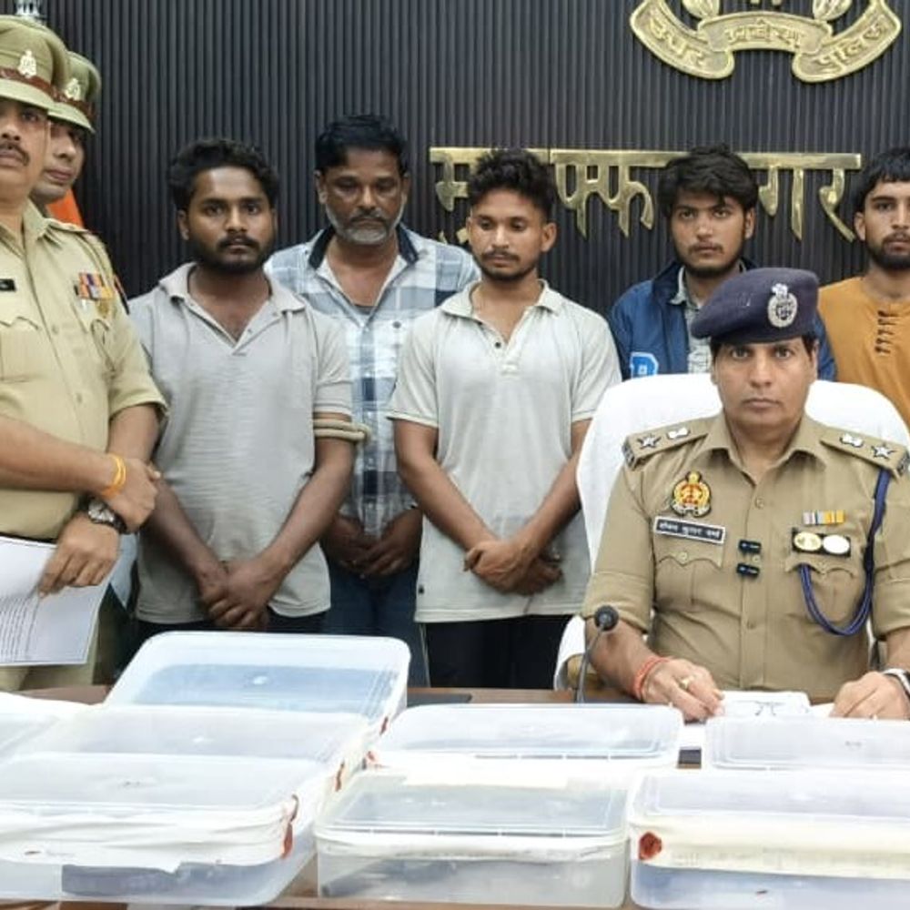 सोशल मीडिया पर अवैध शस्त्रों की खरीद-फरोख्त, सात गिरफ्तार:14 तमंचे और कारतूस बरामद, दो महीने में 132 से अधिक हथियार मिले