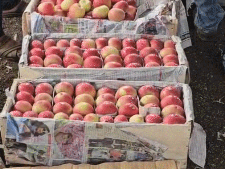 कोडरमा में छठ पर बाजारों में रौनक:  कश्मीर से सेब, नागपुर से संतरा, सिलीगुड़ी से आया अनानास , 10 करोड़ के कारोबार की उम्मीद – koderma News