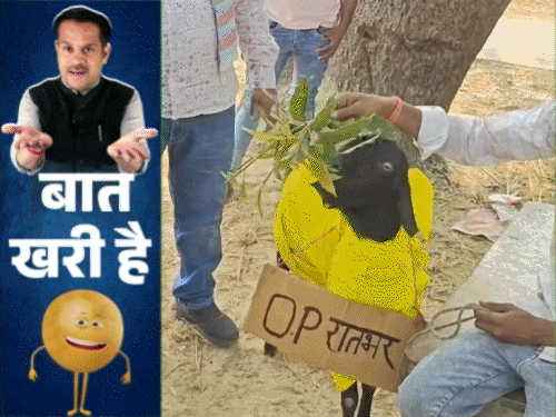 पिल्ला-पिल्ली के चक्कर में फंसा बकरा:BJP विधायक ने खूब झाड़ी अंग्रेजी, IPS के बाद SDM मैडम के घर कांड