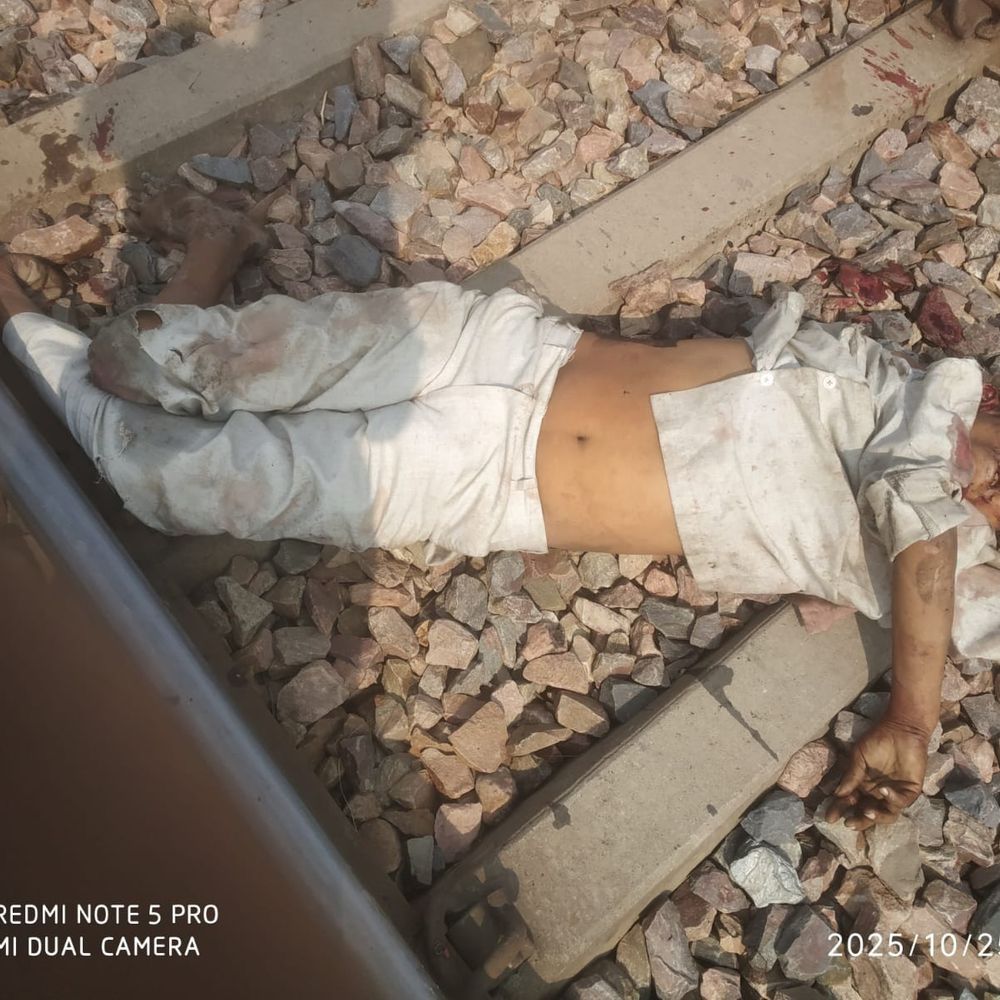 झज्जर में ट्रेन से कटकर व्यक्ति की मौत:  किराए पर रहता था मृतक, शहर के पास ट्रैक पर मिला शव – Jhajjar News