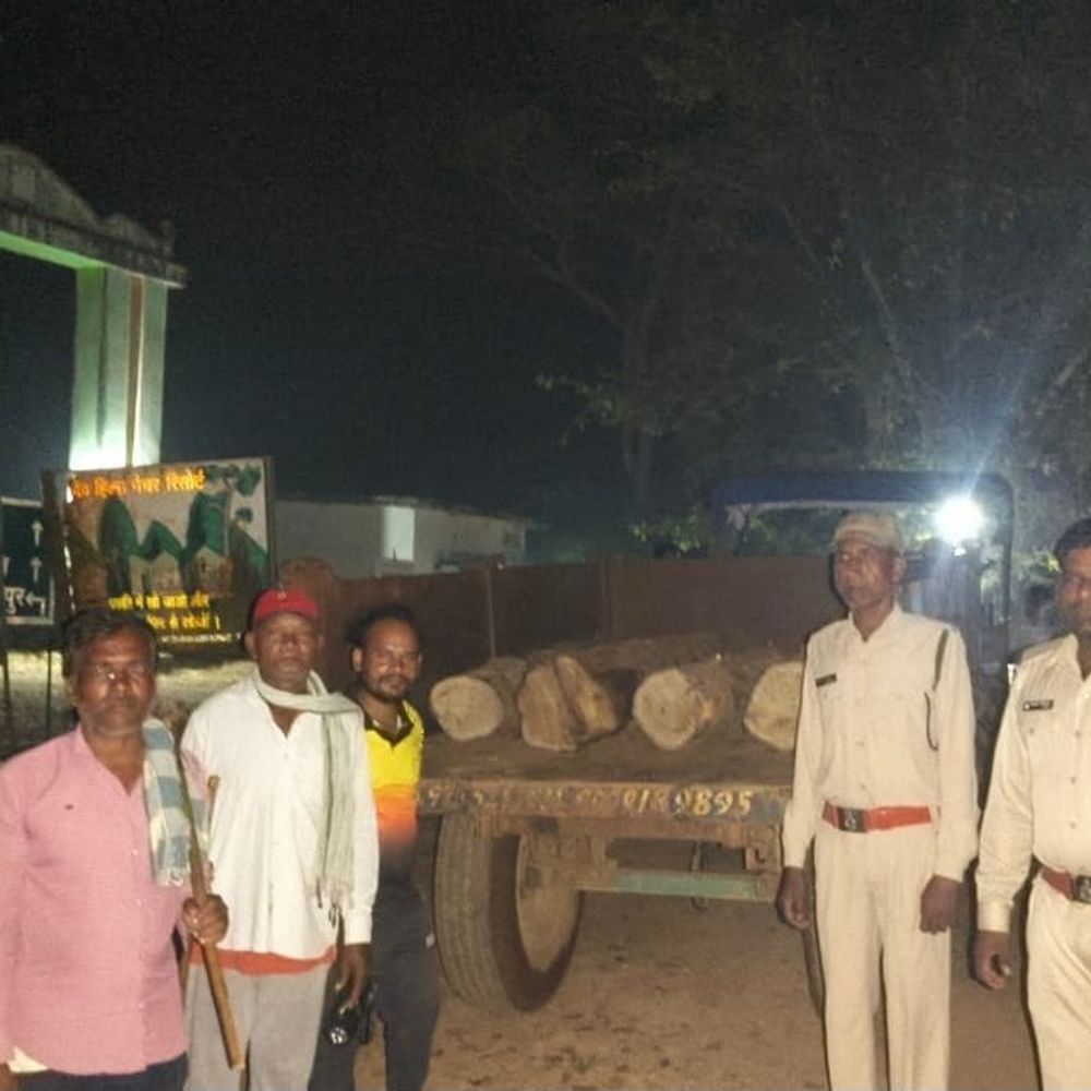 अवैध तरीके से सागौन परिवहन करते 2 गिरफ्तार:  बलौदाबाजार में वन विभाग ने जब्त किया ट्रैक्टर, कोई दस्तावेज पेश नहीं कर पाए – baloda bazar News