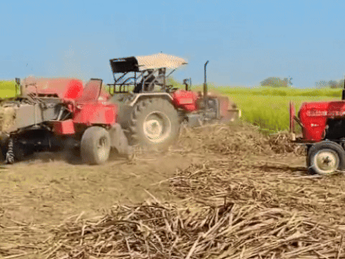 अमृतसर में 66% घटीं पराली जलाने की घटनाएं:  पिछले साल 472, इस साल 154, डिप्टी कमिश्नर बोले- ये किसानों के जागरूकता परिणाम – Amritsar News