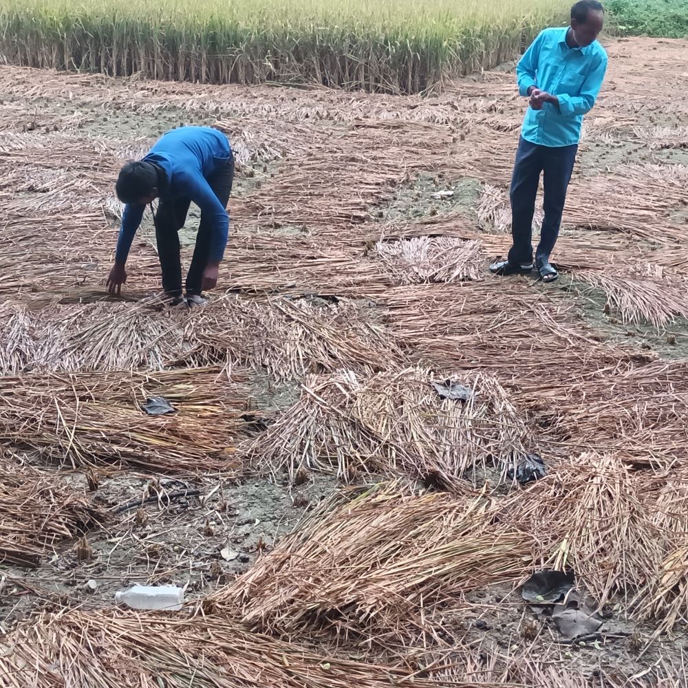 जौनपुर में मोंथा तूफान का असर, बूंदाबांदी जारी:18 किमी/घंटे की रफ्तार से हवाएं चलीं, कल भी बारिश के आसार