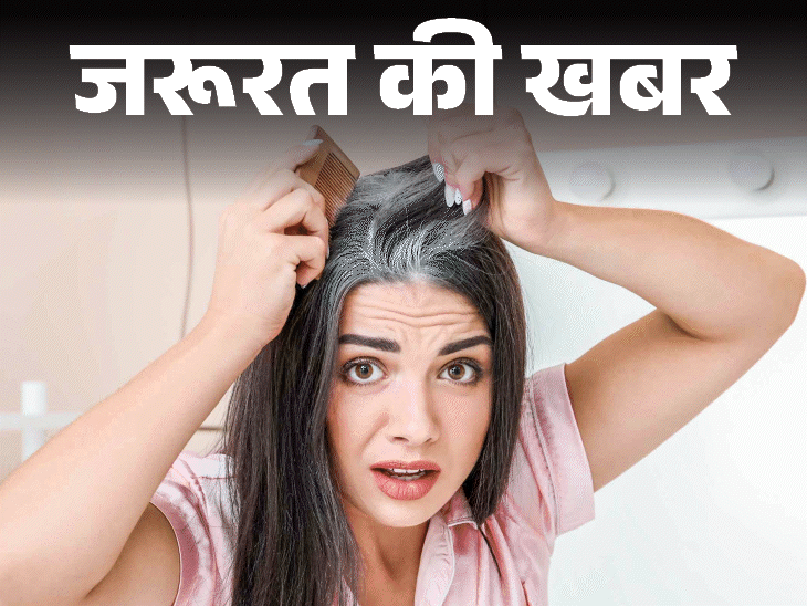 जरूरत की खबर- समय से पहले सफेद हो रहे बाल:हो सकती है जरूरी विटामिन्स, मिनरल्स की कमी, जानें हेल्दी बालों के लिए क्या खाएं