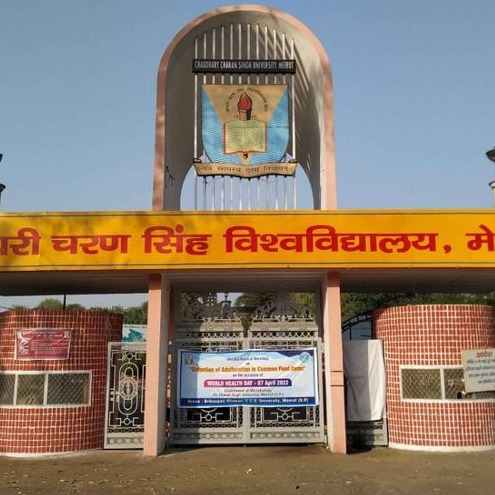 मेरठ की CCSU में 22 कर्मी हुए स्थानांतरित:प्रधान सहायक से लेकर सफाईकर्मी तक सभी के नाम लिस्ट में शामिल