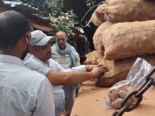 अब सीज किए गए 500 क्विंटल आलू का क्या होगा?:आयरन ऑक्साइड में रंगने की हो चुकी है पुष्टि; 1 महीने से पड़ा है