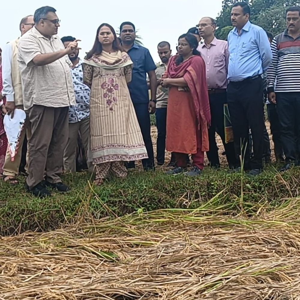 कृषि मंत्री ने देवघर में फसल नुकसान का आकलन किया:  बेमौसम बारिश से किसानों की मुश्किलें बढ़ीं, 40% से अधिक क्षति का अनुमान – Deoghar News