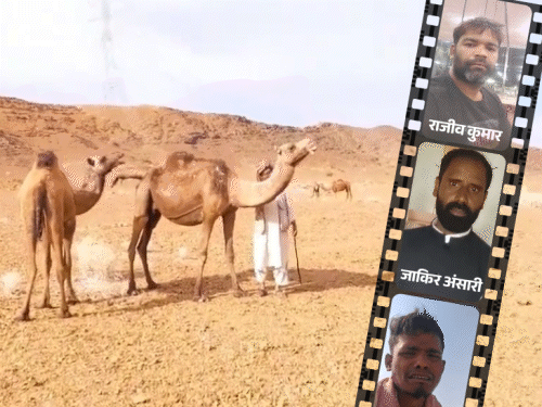 सऊदी में ड्राइवर की नौकरी देकर कचरा उठवाया-बकरी चरवाई:कफाला सिस्टम में कैसे फंसे भारतीय, किसी की मौत-कोई जेल में, अब कैसे लौटें