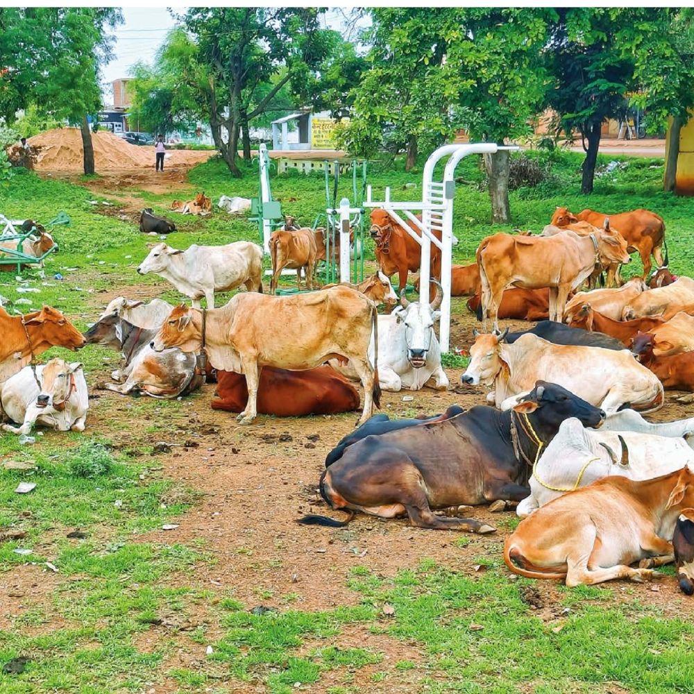 1bhilai city pg23 0 e02cd814 5591 49b2 8d7c 6d45e4cd2557 large