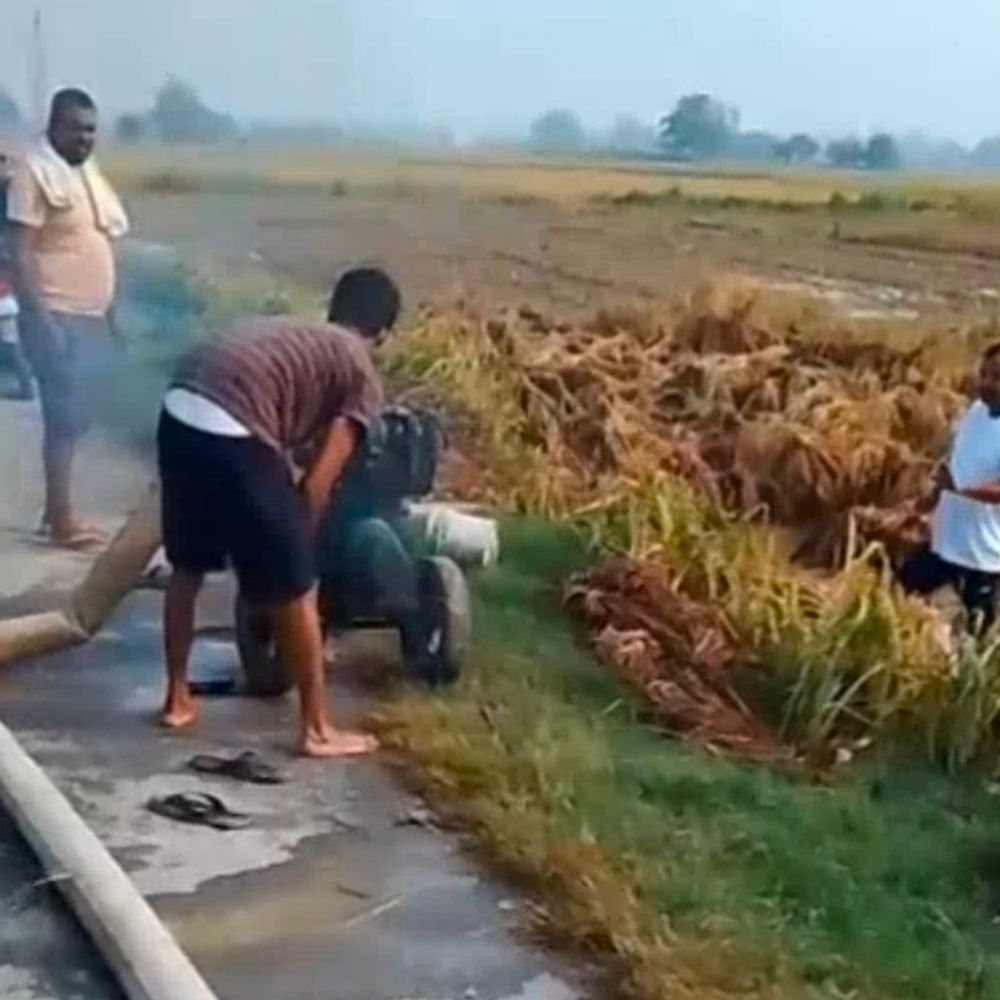 बलिया में बारिश से धान की फसलें प्रभावित:डीएम ने क्षति आकलन के दिए निर्देश, किसान जुटे बचाव में