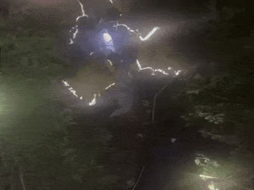 उत्तराखंड में टूरिस्टों से भरी गाड़ी खाई में गिरी:2 की मौत, 14 की हालत गंभीर; कैंची धाम के दर्शन कर लौट रहे थे